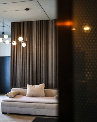 Model Dimensions nabízí vedle akustického filcu a té nejkvalitnější dubové dýhy, což je u našich panelů standardem, také...